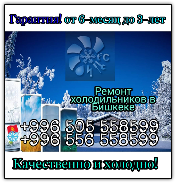 REMONT HOLODILNIKOV GOLDSTAR V BISHKEKE